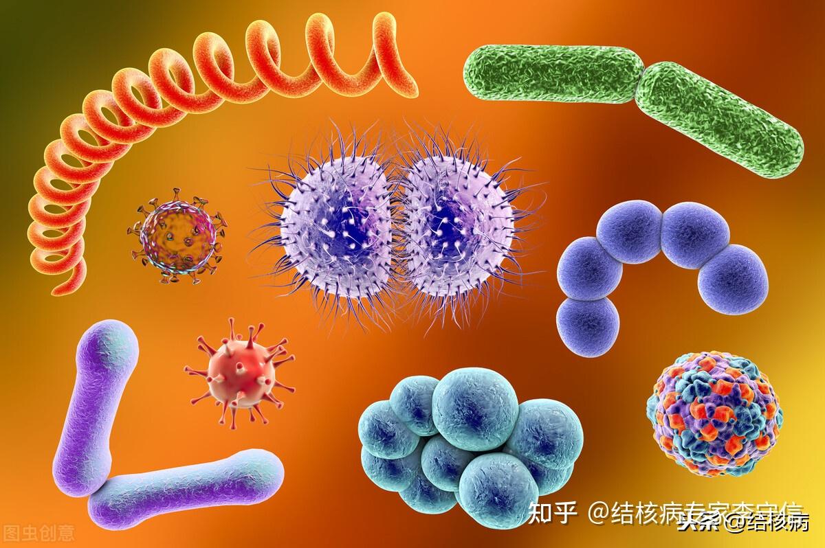 肺空洞病是不是传染病_肺空洞是什么病_肺空洞病因
