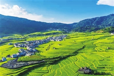 身份证归属地_身份证归属地就是户籍所在地吗_身份证归属地怎么填