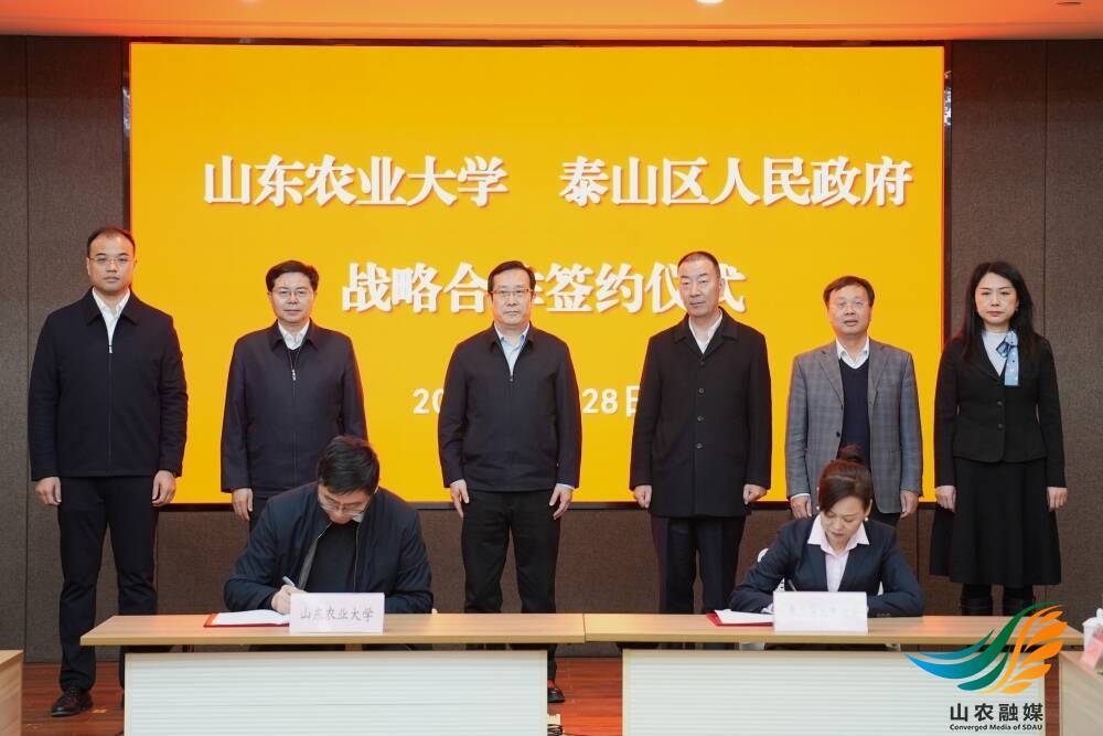 2024年江苏省科技副总_江苏省科技副总容易申报吗_江苏省科技副总奖励5万