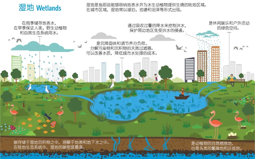 3s技术作用有哪些_3s技术的作用_3s技术分别作用