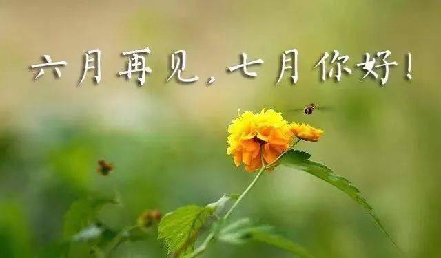 recovermyfiles_recovermyfile_recovermyfile