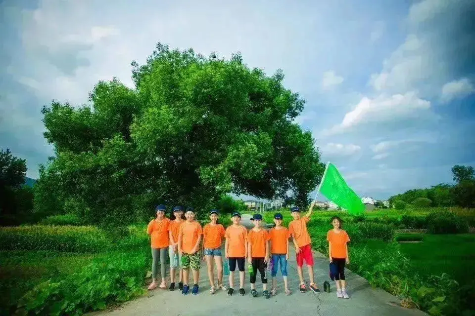 证查号码身份信息是真的吗_怎样查身份证号码信息_证查号码身份信息怎么查询