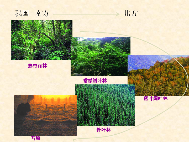 意思是说_ecosystem是什么意思_意思是不是轻声词
