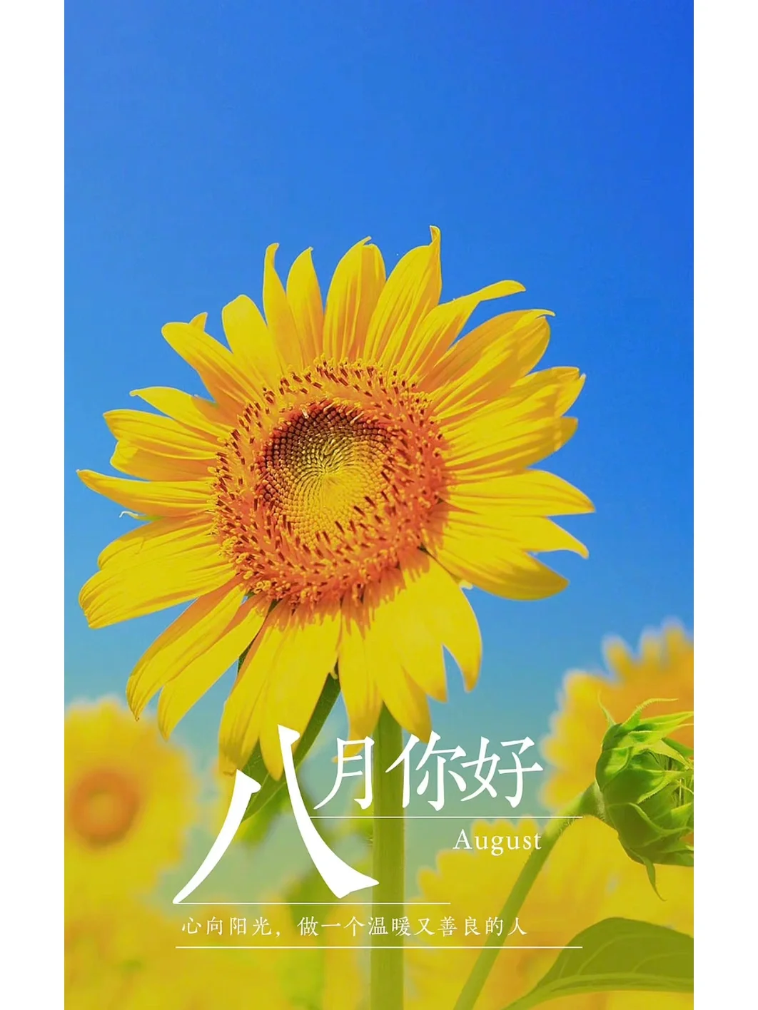 朝阳镇凯瘸子死了_辉南县朝阳镇凯瘸子_朝阳镇凯瘸子本人照片
