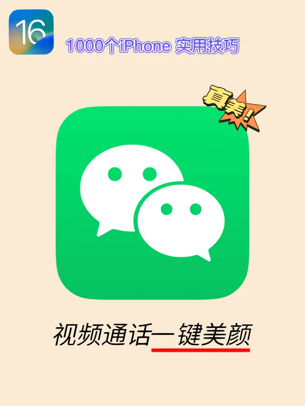 教程拼音_教程之家_shopnc教程