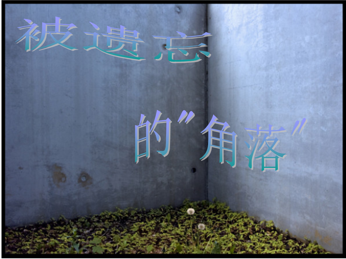 书店整理图书心得_书店心得图书整理感想_书店心得图书整理感悟