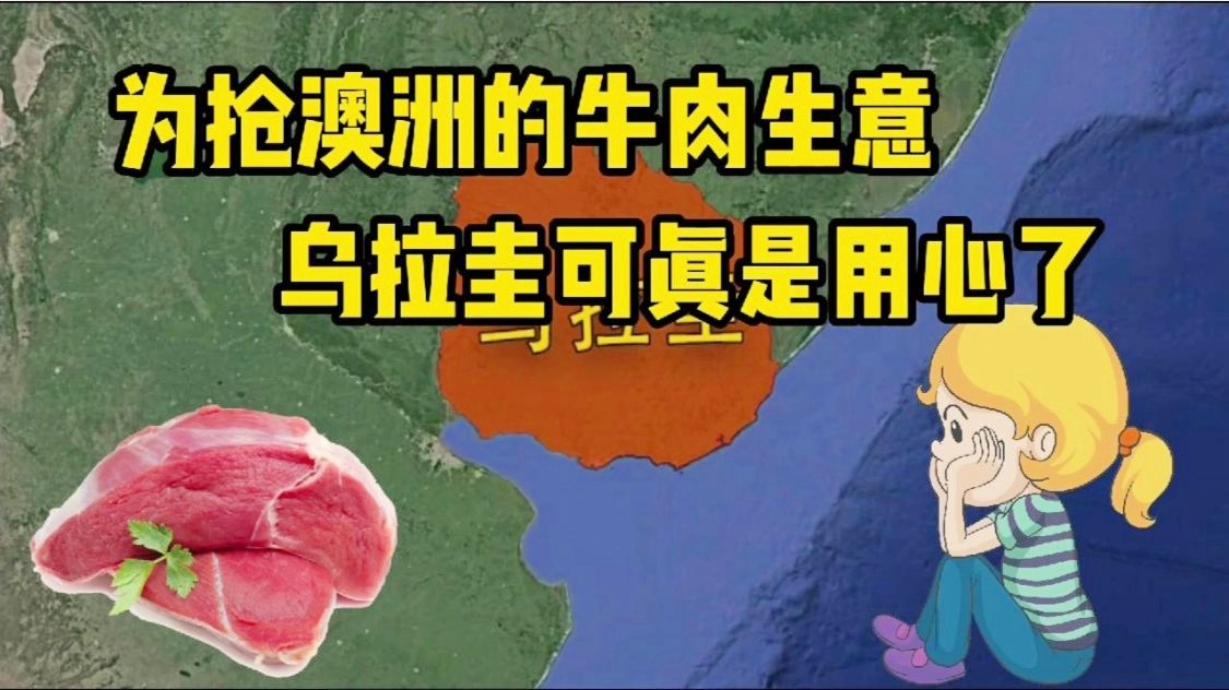 用姓名身份证号查联系方式_如何用名字查身份证号码_身份证用姓名查询号码
