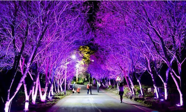 朝阳医院区市大屯分院电话_朝阳医院大望路分院_市朝阳区大屯医院