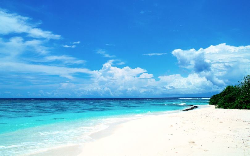 tp ap mp的作图分析_作图分析均衡价格的形成_作图分析均衡价格的形成与变动