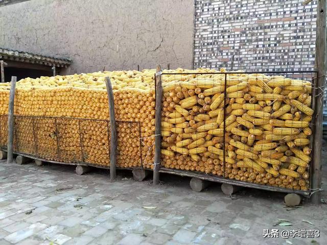 饲料青贮技术何时发明出来的_饲料青贮技术是什么_饲料青贮技术