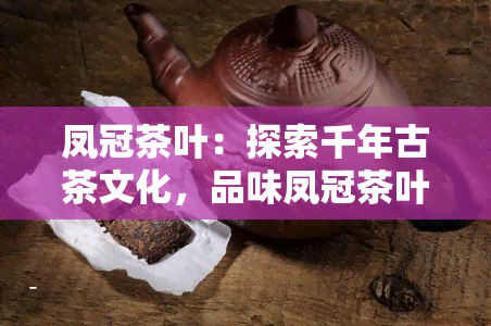 茶叶版面设计图大全_茶叶版面设计_ecshop和茶网茶叶模板宽屏版