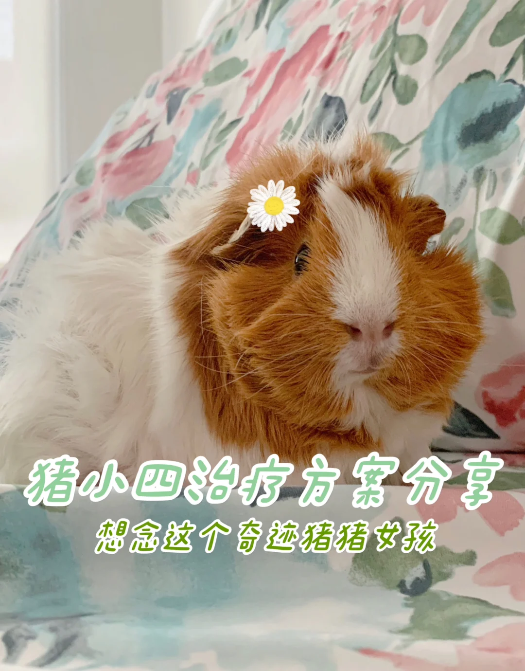 哈尔滨肺炎治疗儿童医院怎么样_哈尔滨肺炎治疗儿童医院在哪_哈尔滨儿童医院治疗肺炎多久