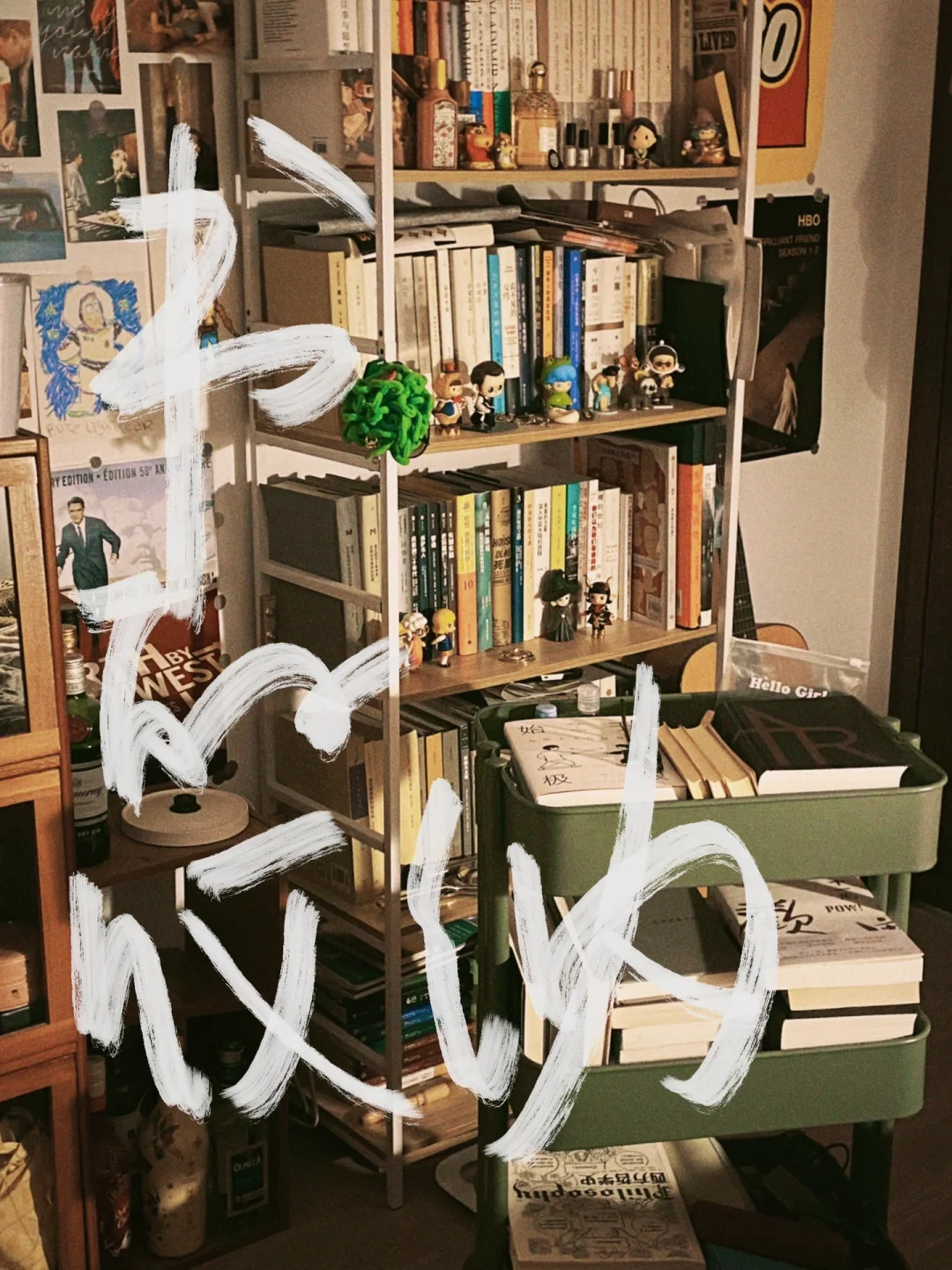 晴川图书管理软件价格_晴川图书管理软件_晴川图书音像管理系统