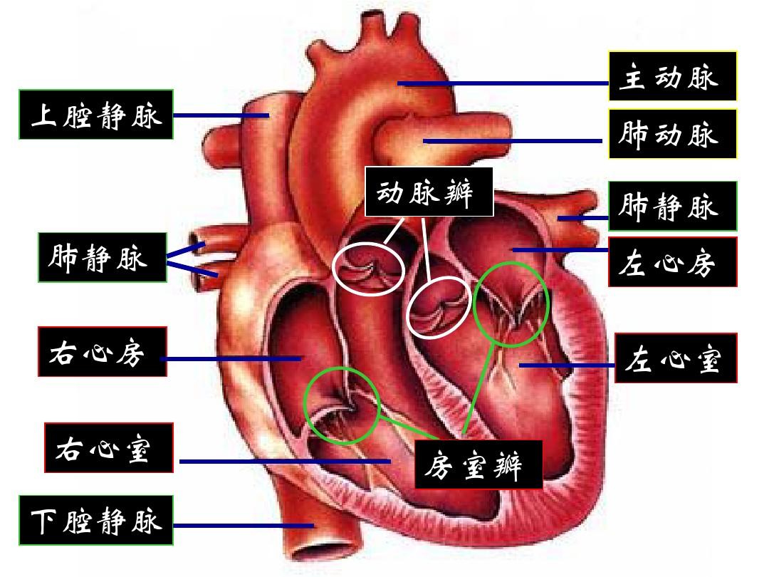 计算机组成部分图片_计算机的五大组成部分_计算机组成部分有哪些