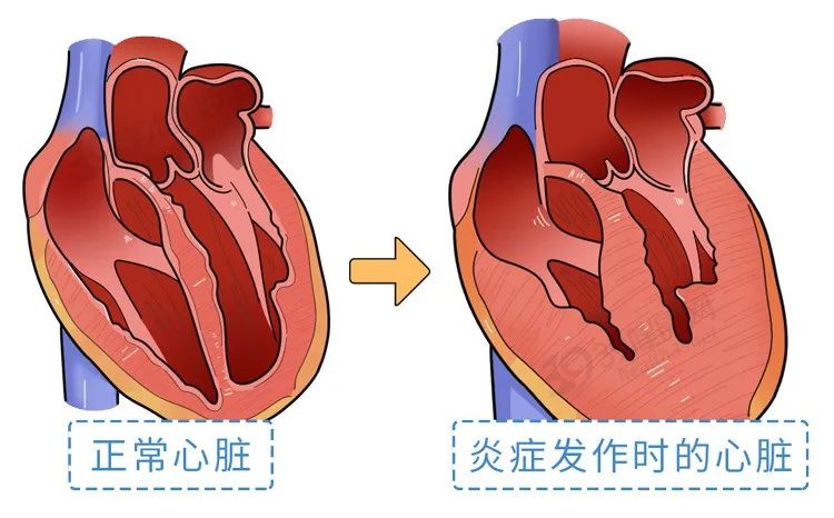 计算机的五大组成部分_计算机组成部分图片_计算机组成部分有哪些