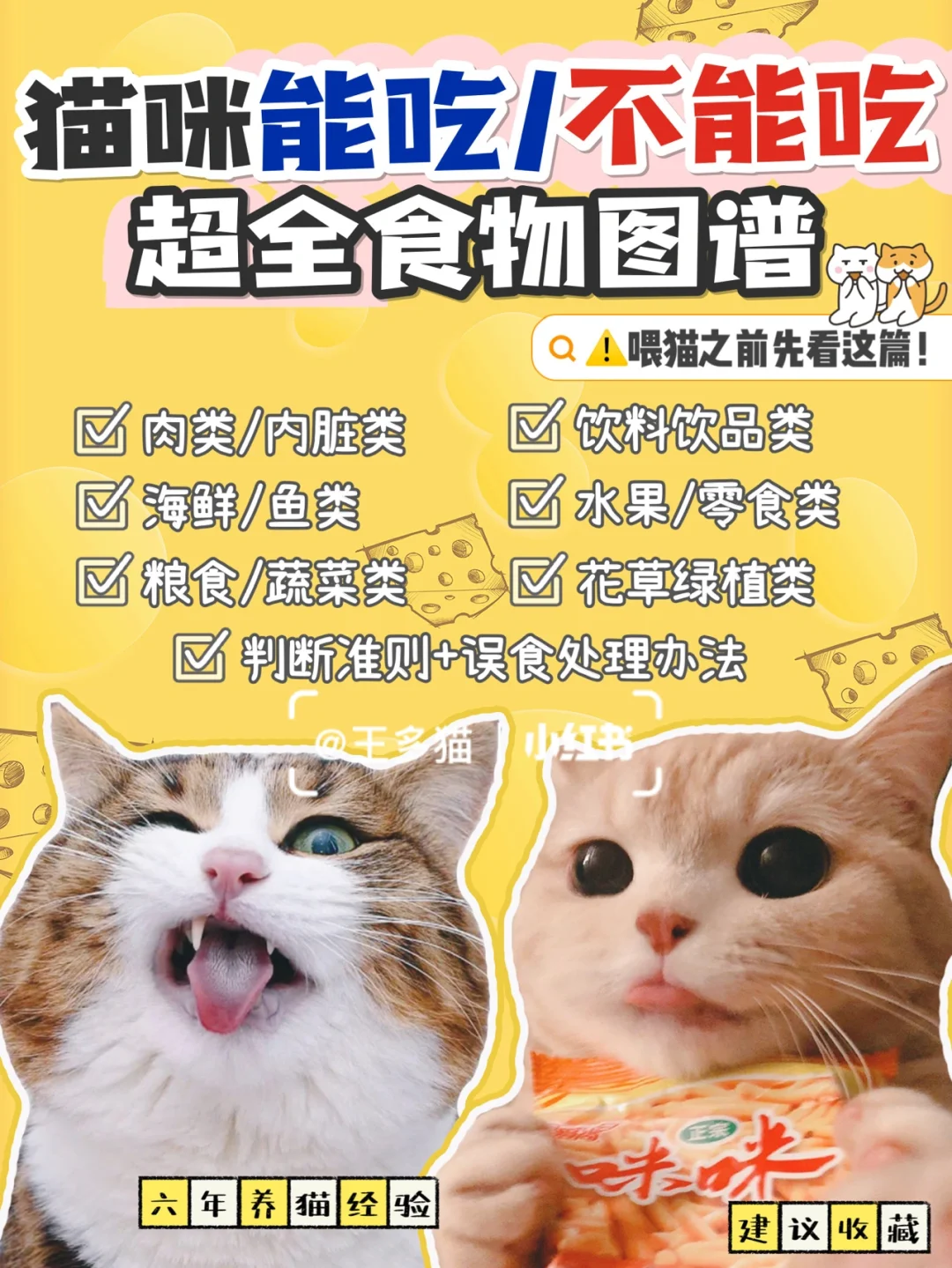 超级猫世界_超级旬猫解说_动物世界超级猫