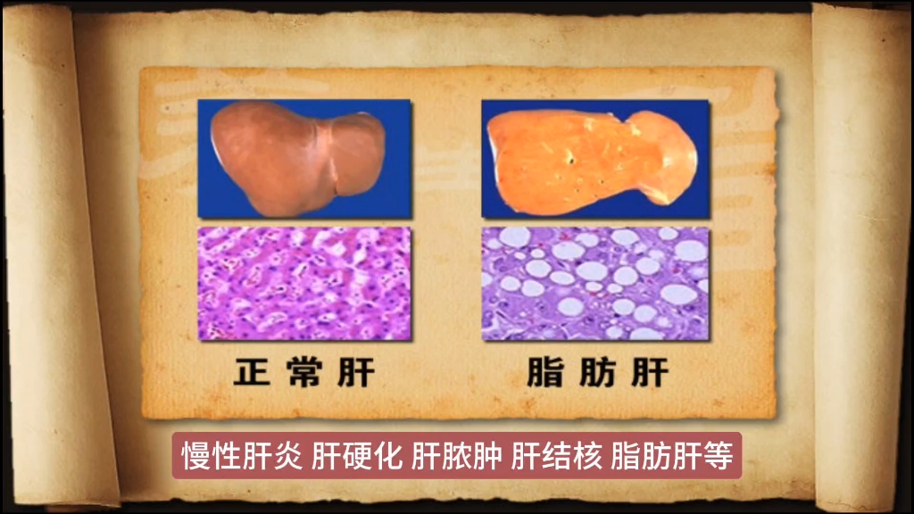 体检机构介绍_体检机构详情_体检服务机构