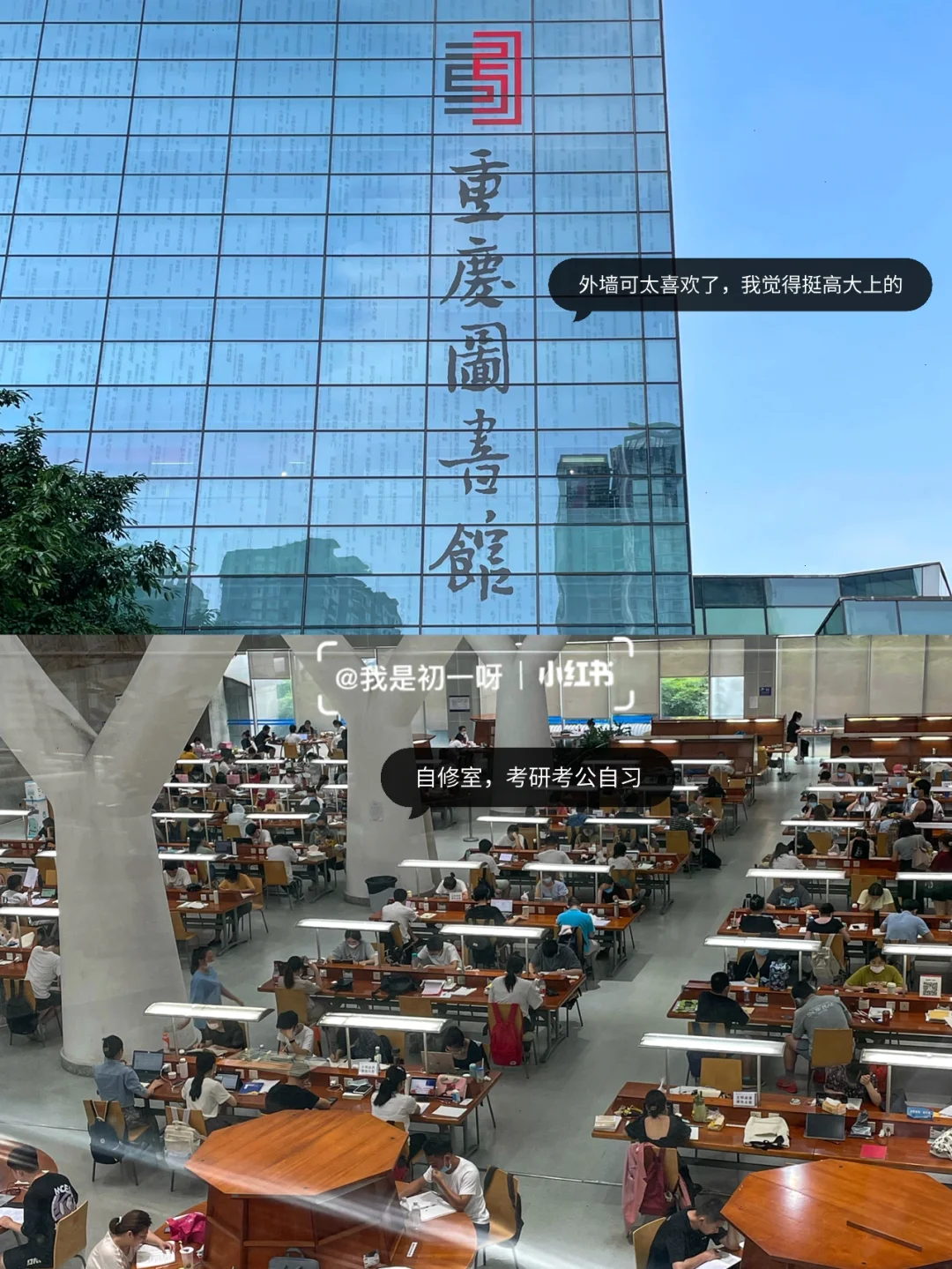 借书登记表格_借书表格怎么设计_设置表格中借书证号列单元格