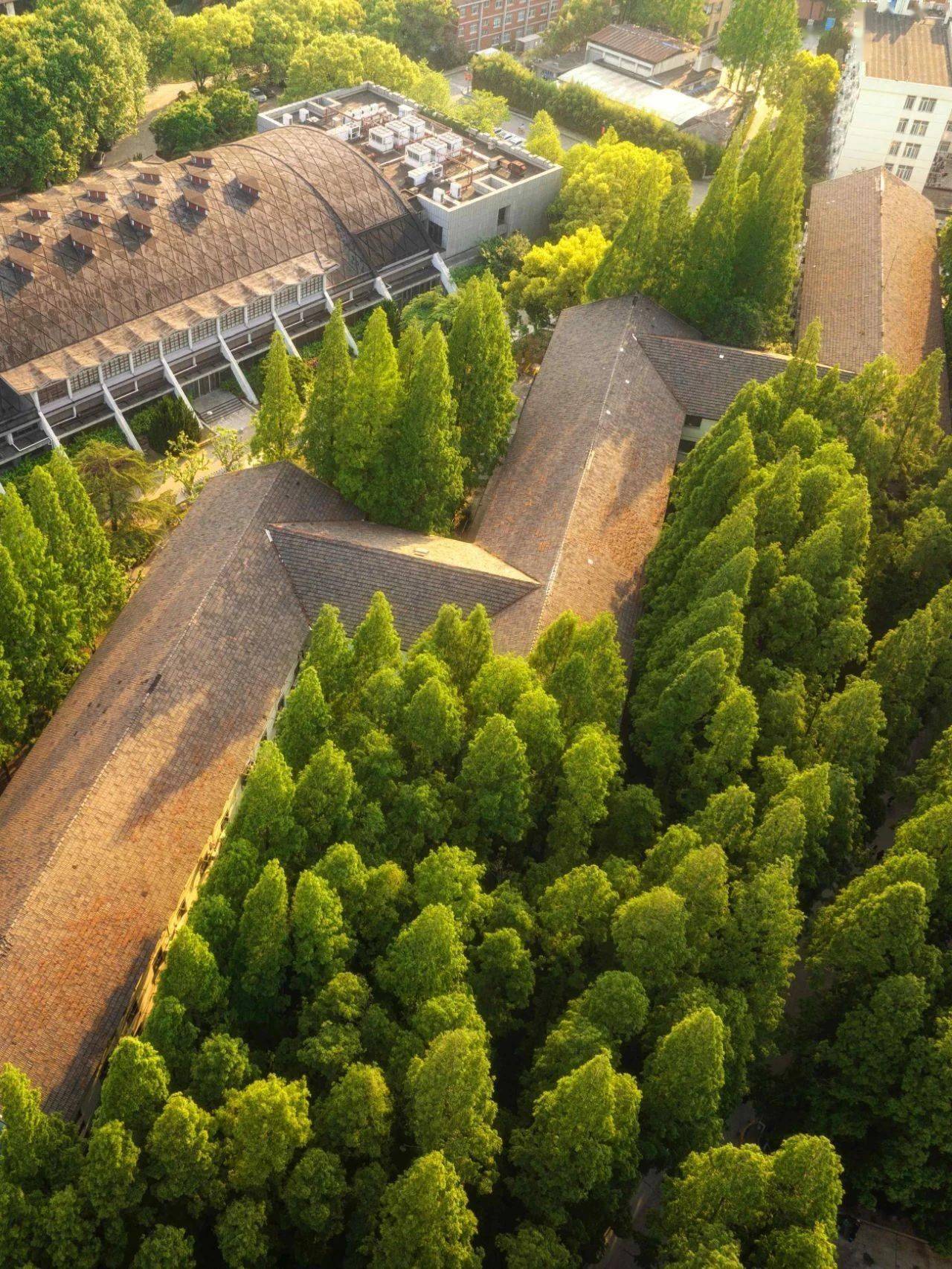 公安部身份证信息查询_公安局身份证信息查询_公安系统身份查询