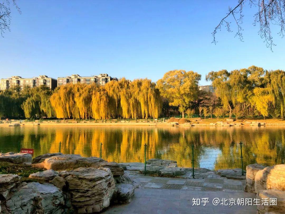 朝阳乡政府区三间房地址_朝阳区三间房乡书记_朝阳区三间房乡政府