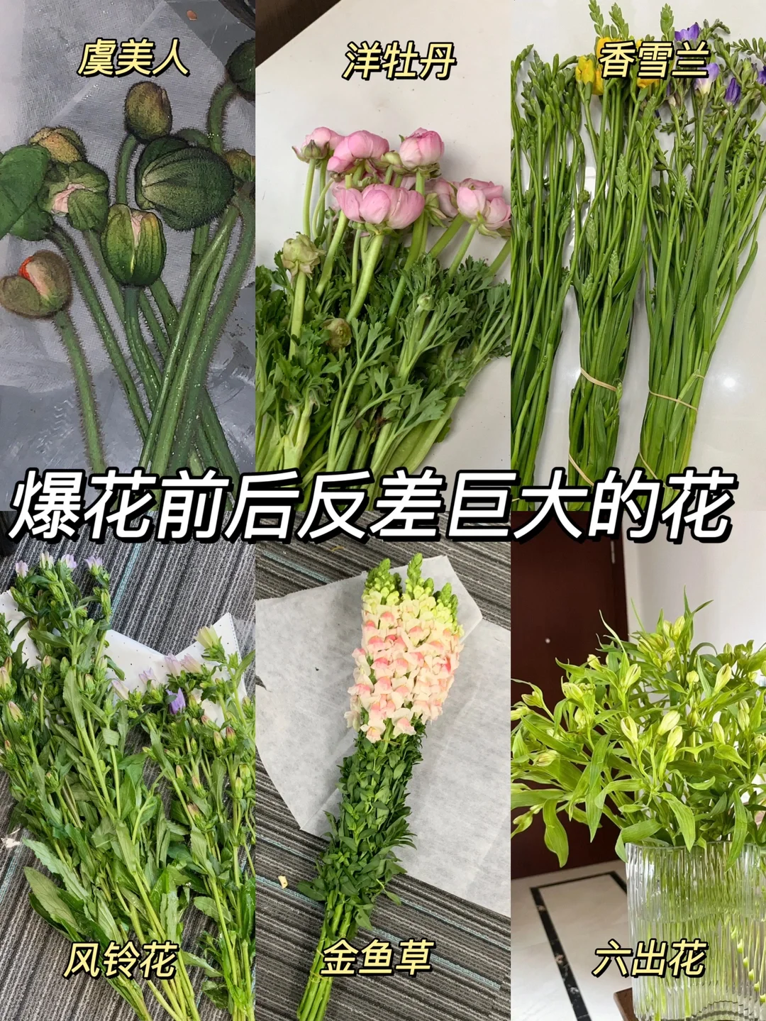 mapinfo安装后打不开_mapinfo软件安装_mapinfo安装后打不开
