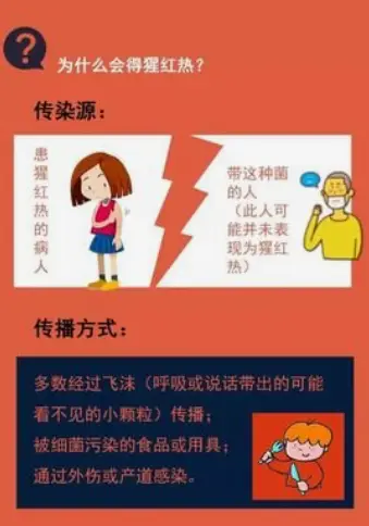 流脑传染源最具重要意义的是_流脑传染性最强的阶段是_流脑主要传染对象
