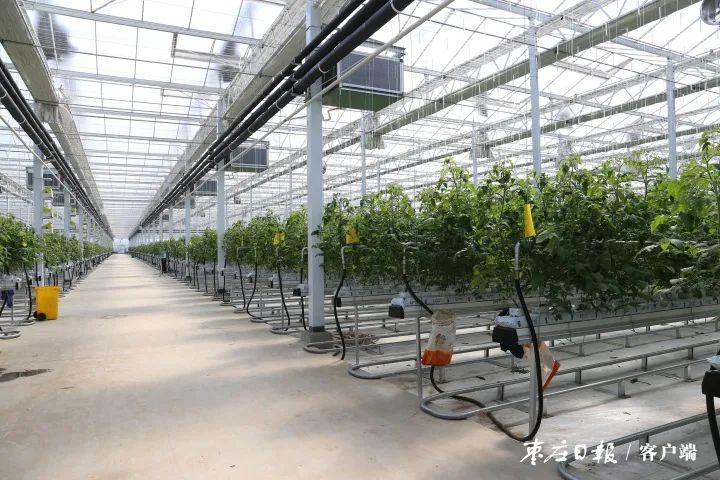 赞叹科技发展的诗句_赞叹科技的结尾_赞叹科技