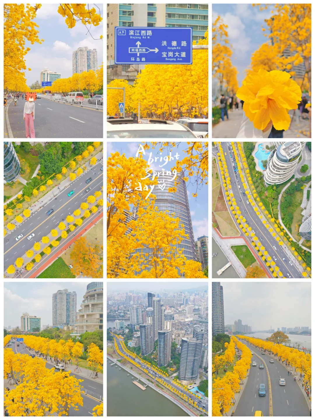 景观亮化控制系统有哪些_景观亮化控制系统厂家_景观亮化控制系统