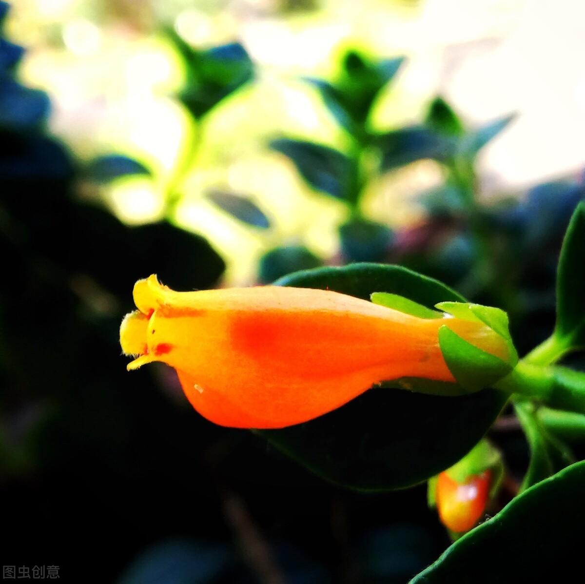 全志芯片系列介绍_全志芯片系列_全志芯片手册