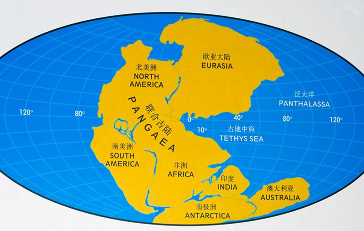 在线地图网页版入口_在线地图服务_mapinfo在线地图
