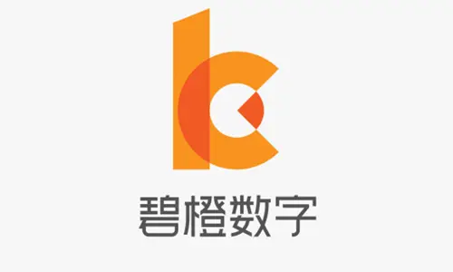 功能手机_功能手机排行榜前十名_shopnc功能