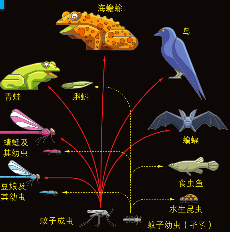 生态系统怎么读英语怎么说_生态系统怎么读_生态系统ecosystem怎么读?