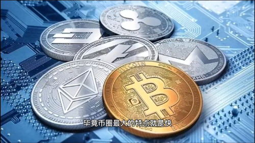 科罗拉加密货币,揭秘其独特特性和市场潜力
