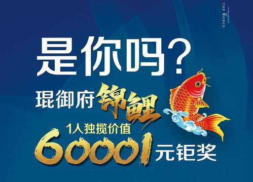 锦鲤影视app下载 