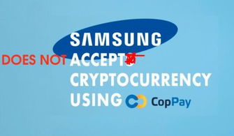 浙江加密货币支付公司,加密货币支付公司崛起与发展概览”