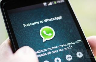 中国为什么屏蔽whatsapp,揭秘中国屏蔽WhatsApp的背后原因与影响