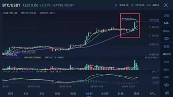 加密货币避险情绪分析怎么写,市场波动与投资者心理解析
