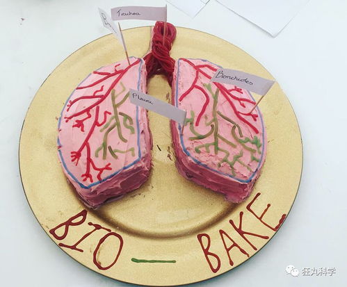 加密货币蛋糕图片卡通,数字货币的趣味象征与中本聪的神秘生日密码”