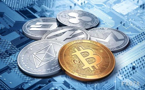加密货币放哪里安全呢,交易所与钱包的全面对比