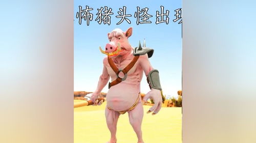 我不叫猪头三 