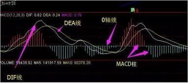 加密货币macdema,揭秘加密货币市场的强大技术分析工具