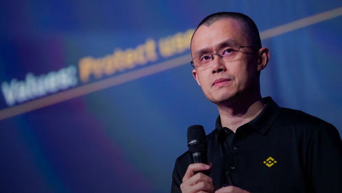 加密货币董事,权力、策略与未来展望