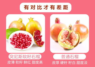 石榴视频网站app下载 