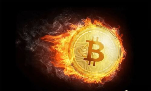 加密货币xch,揭秘加密货币Xchange的潜力与未来