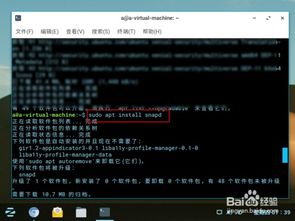 ubuntu系统运行安卓游戏,体验跨平台游戏乐趣