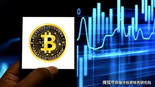 加密货币大量持有者,揭秘大量持有者的神秘世界