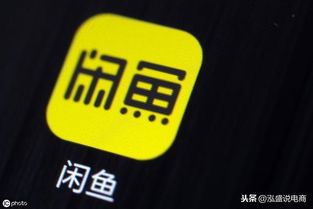 闲鱼 