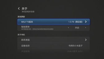 安卓系统装小米盒子,享受海量影视资源