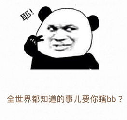 安卓调用系统相机裁剪,Android系统相机调用与裁剪图片操作指南