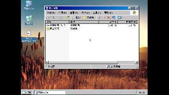 xp电脑安卓子系统,兼容性与应用新篇章